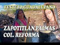 Video de Zapotitlán Palmas