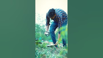 Hansraj Raghuwanshi  | Sanyasi | Official Music Video  #ytshort #hansrajraghuwanshi #bholenath