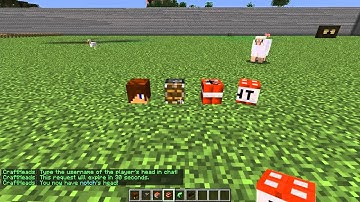 Craftheads Plugin Review for Spigot/Bukkit 1.10.2