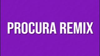 Fer Palacio, Chichi Peralta - Procura (Remix Cachengue)