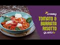 Tomato and burrata risotto  bonacinis italy  michael bonacini  gusto tv