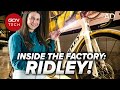 Belgium beer  bikes inside the ridley bikes factory