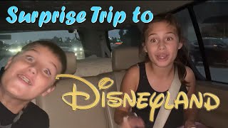 Surprise Trip to DISNEYLAND Part 1  The Kids FREAK OUT!