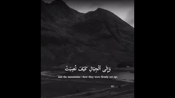 أَفَلَا يَنظُرُونَ إِلَى ٱلْإِبِلِ كَيْفَ خُلِقَتْ )تلاوه خاشعه 🥹❤️حالات واتس اب قوران الكريم