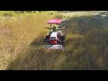 Tall Grass And Brush Mowing At Abandoned Trailer Lawn Cleanup (Short Version)