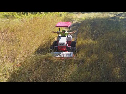 Tall Grass And Brush Mowing At Abandoned Trailer Lawn Cleanup (Short Version)