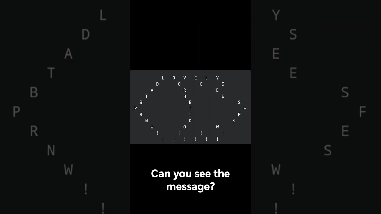 The hidden message challenge 
