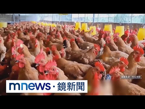 中國六旬婦混合感染流感、禽流感 發病16天不治｜#鏡新聞