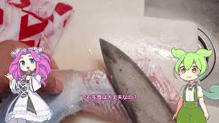 ブラックバスの刺身ってどうなの? ずんだもんと四国めたんが語る