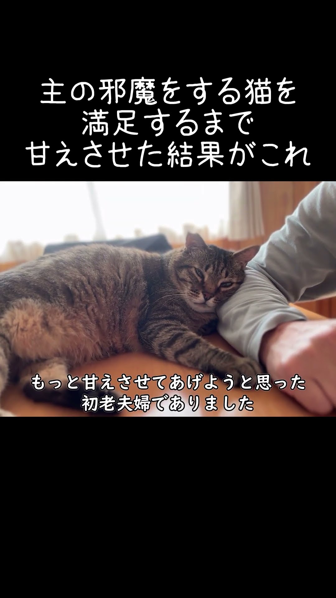 I let my clingy cat cuddle until he was satisfied, and this is