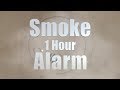 Smoke Alarm Smoke Detector Sound 1 Hour