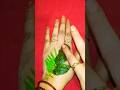 🌿❤️Easy And Beautiful Leaf Mehndi Design❤️🌿#leafmehndi#youtubeshorts#mehndi#shots#hack#shortsfeed