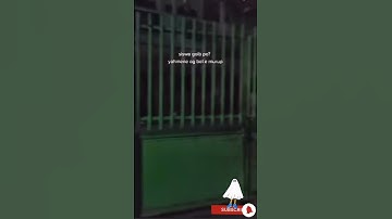 Horor! Bel Sekolah Berbunyi Sendiri di Tengah Malam