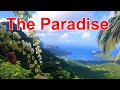 Everything You Need To Know About Nuku Hiva Part3 Taioha E Sights Where To Eat Shop The Island Tour 