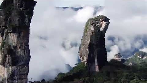 تلاوة تحبيرية من سورة يس للقارئ ماجد اليافعي