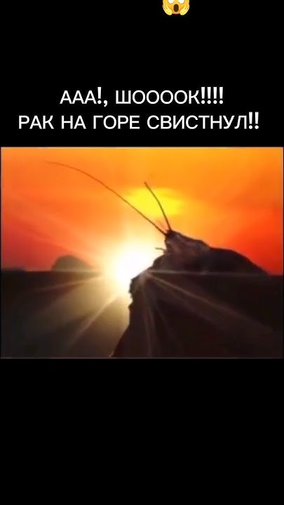 #РАК #НА #ГОРЕ #СВИСТНУЛ #ШООООК!!!!! #😏#😱 - YouTube