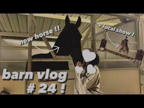 barn vlog #24 - MY NEW HORSE (pt.1) !!