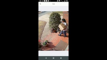 Using the Lorex Home App Live and Recorded View DVR Remote View D841