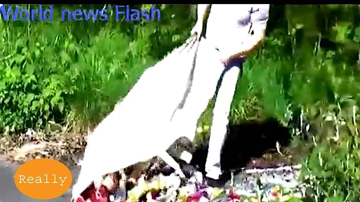 The shocking moment flytipper brazenly dumps pile of rubbish   World News Flash