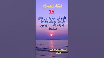 القرآن الكريم بصوت جميل وهادئ .