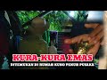 VIRAL !!! ANAK INDIGO TEMUKAN KURA-KURA EMAS DI BEKAS PERKAMPUNGAN KUNO MAJAPAHIT ?!