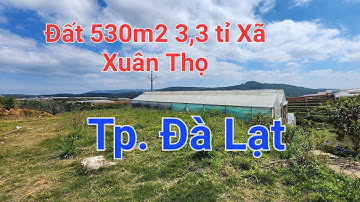 Cần bán 1 lô đất mặt tiền đường bê tông 4m thôn Đa Lộc, xã Xuân Thọ, Tp. Đà Lạt, tỉnh Lâm Đồng.