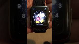 Apple Watch Mickey Mouse Face New Years Fireworks