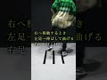 シャッフルダンス・スポンジボブのやり方
