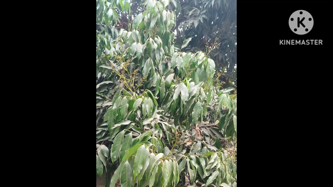 24 Guru's of Abadhut(part 1)