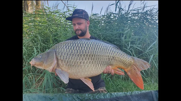 Pescuit la crap pe New Lake Lazuri 5              ...