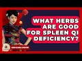 What Herbs Are Good For Spleen Qi Deficiency? - China Cultural Expedition