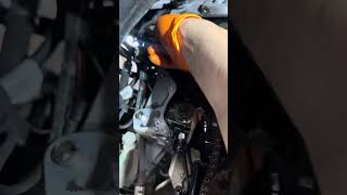Bmw timing Chain