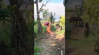 one week palang sa maynila si ate