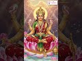 Navratri Day 9 | Siddhidatri Blessings of Motherhood | IVF Miracles at Navjeevan Hospital, Nashik