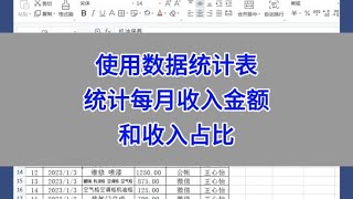 WPS Excel：使用数据统计表，统计每月收入金额和收入占比。#wps