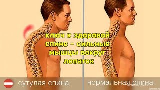 Как Укрепить Грудной Отдел Позвоночника, Улучшить Осанку? Стабилизируйте Лопатку 2-Мя Упражнениями