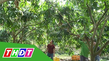 Sản xuất nông sản an toàn theo tiêu chuẩn VietGap | Khoa học Công nghệ | THDT