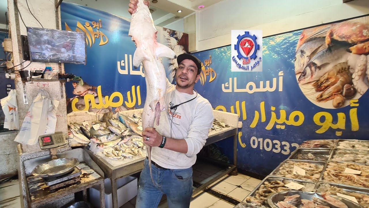 @ لما  تكون الأسماك ممتازة لزاما على القناة تعرض لحضراتكم. ولكم حرية الشراء.