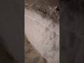 A ton of snow #shorts #newengland #blizzard #snowstorm #snow