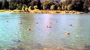 Fly Nimbus 2 test video