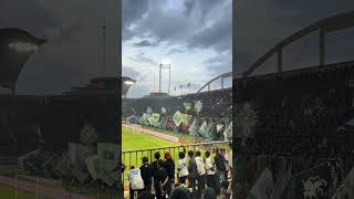 💚💚#liga2match #briliga1 #bcs #pss #pssi #sleman #slemani #ultra #sepakbola