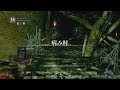 【PS4 Pro】DARK SOULS REMASTERED - #14 病み村・最下層方面～病み村・飛竜の谷方面～クラーグの住処（クラーグボス戦前）