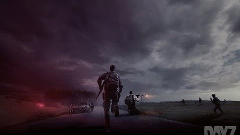 DayZ in a nut shell