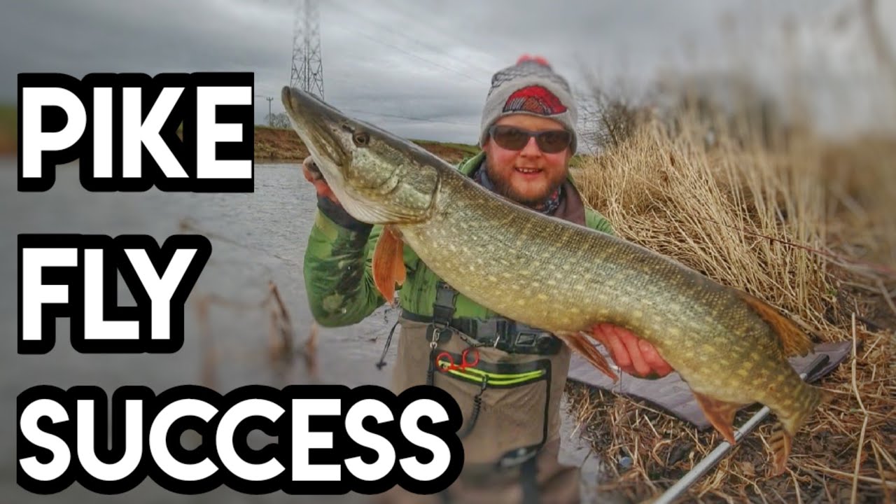 River Pike Fly Fishing In Winter - (EPIC Fly Weight Hack) 