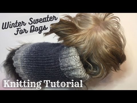 How to make a seamless dog sweater: A step-by-step knitting