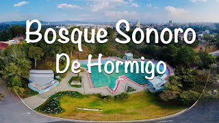Bosque Sonoro / Árboles de Hormigo / Marimbistas / Guatemala / Músicos / Compositores