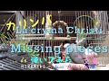 【文鳥とカリンバ】Missing pieces / La&#39;cryma Christi