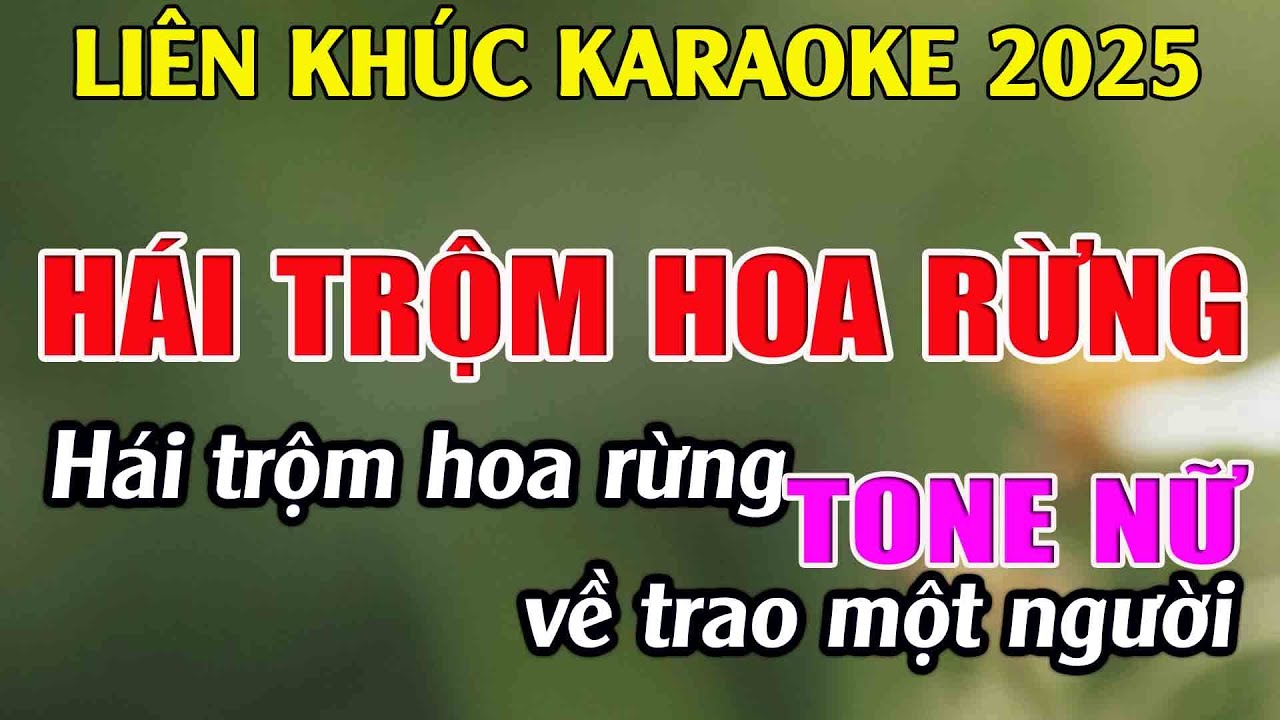 Liên Khúc Karaoke Tone Nữ Dễ Hát Hái Trộm Hoa Rừng Karaoke Tuyệt Phẩm - Beat Mới