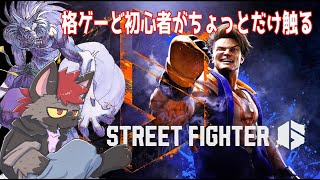 【スト６】ガロンのスキンを眺めたいっていう欲望が抑えきれなかったから買った。