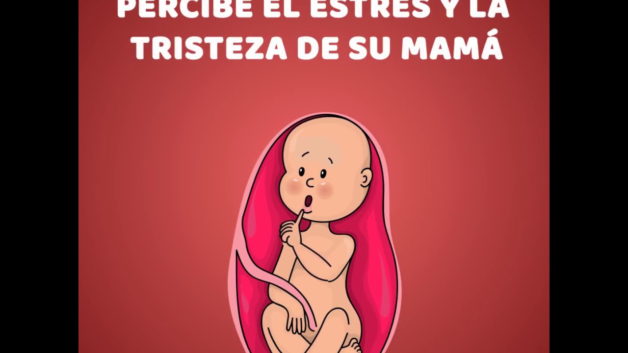 Que Siente Un Bebe En El Vientre De La Mama Youtube Que Siente Un Bebe En El Vientre De La Mama Youtube